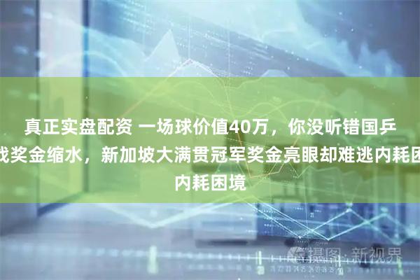 真正实盘配资 一场球价值40万，你没听错国乒内战奖金缩水，新加坡大满贯冠军奖金亮眼却难逃内耗困境